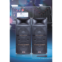 Cheapest Professional Stage Speaker with Big Power